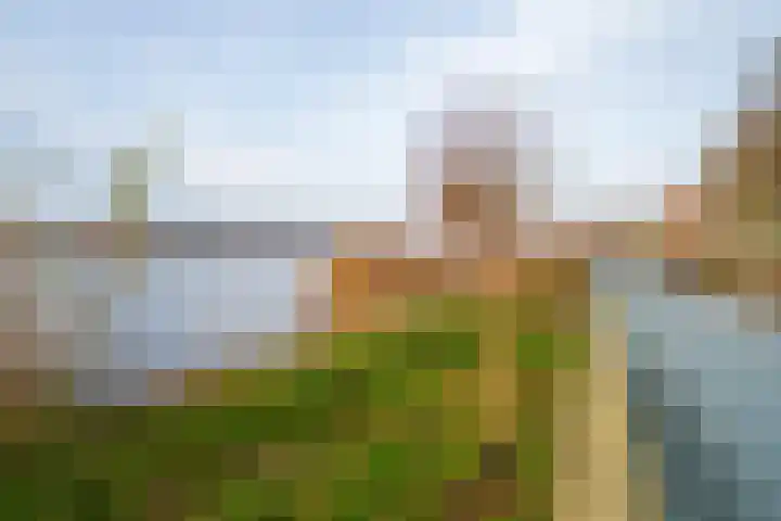 Fellinilaan 358 Almere thumbnail 46