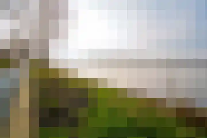 Fellinilaan 358 Almere thumbnail 47