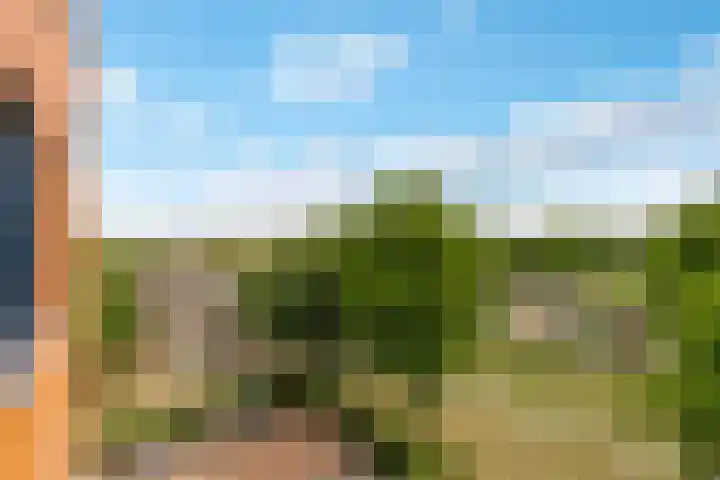 Fellinilaan 368 Almere thumbnail 28