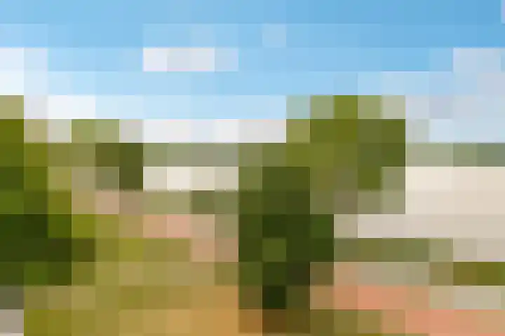 Fellinilaan 368 Almere thumbnail 29
