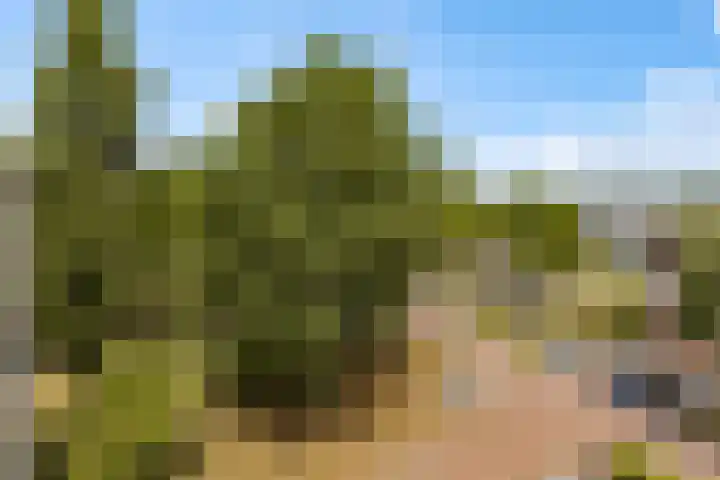 Fellinilaan 368 Almere thumbnail 30