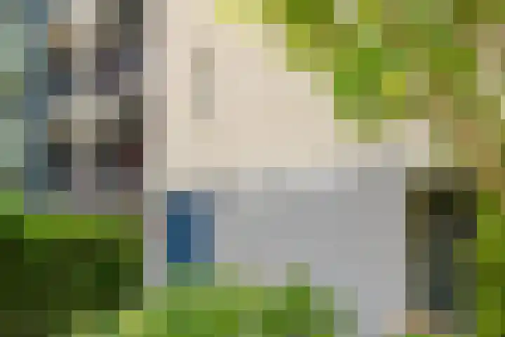 Fellinilaan 368 Almere thumbnail 38
