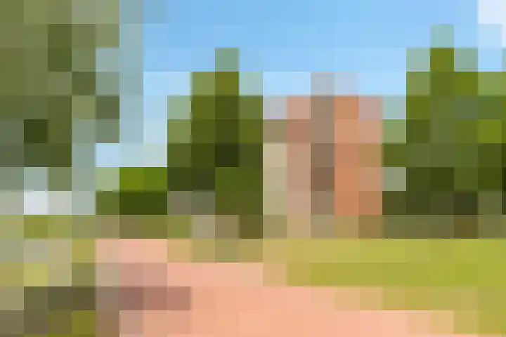 Fellinilaan 368 Almere thumbnail 41