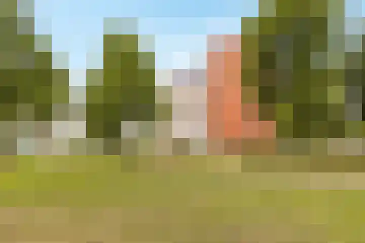 Fellinilaan 368 Almere thumbnail 45