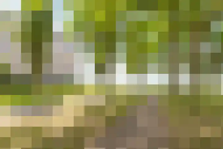 Fellinilaan 368 Almere thumbnail 46