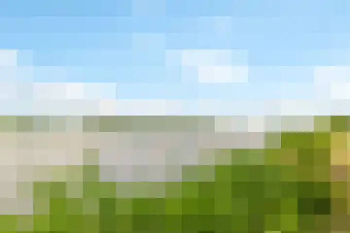 Fellinilaan 368 Almere thumbnail 47