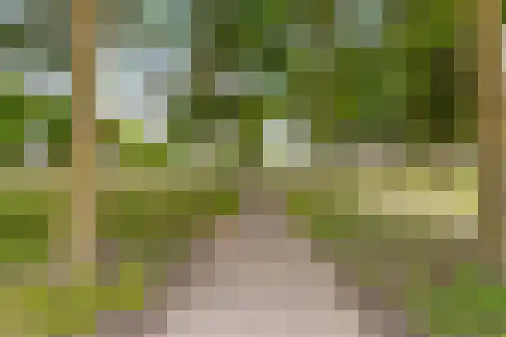 Fellinilaan 368 Almere thumbnail 49