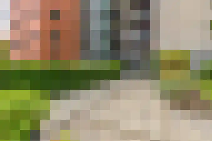Fellinilaan 368 Almere thumbnail 5
