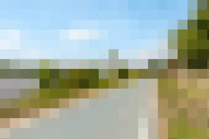 Fellinilaan 368 Almere thumbnail 50