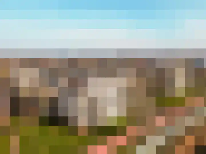 Fellinilaan 426 Almere thumbnail 39