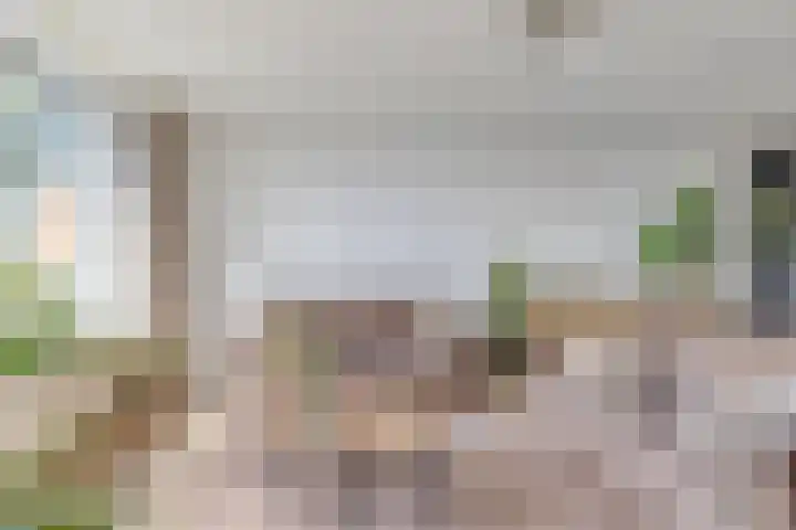 Fellinilaan 436 Almere thumbnail 11