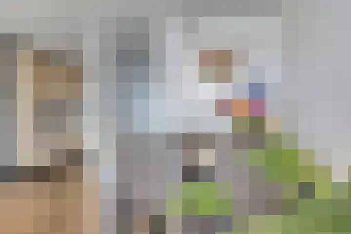 Fellinilaan 436 Almere thumbnail 14