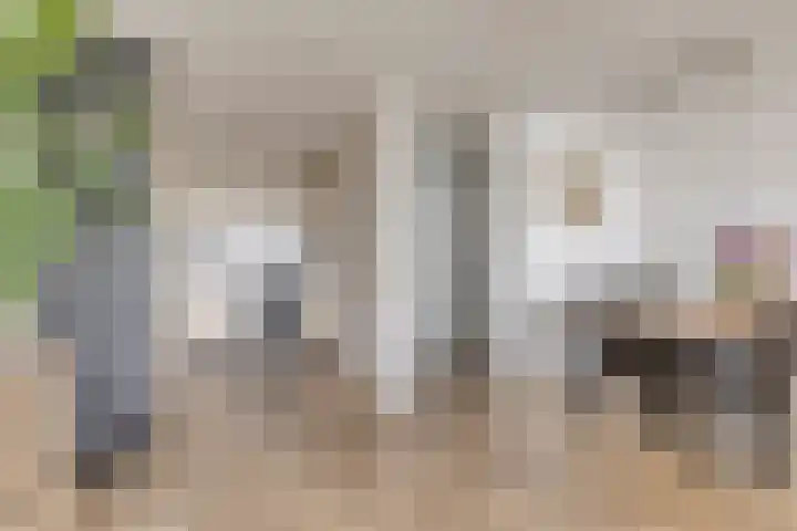 Fellinilaan 436 Almere thumbnail 19