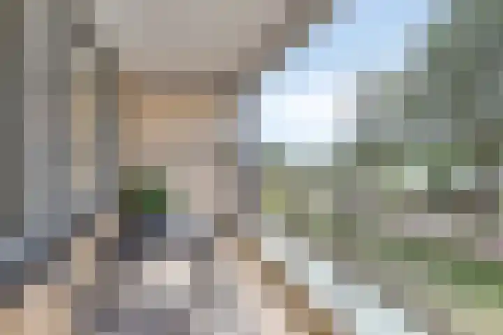 Fellinilaan 436 Almere thumbnail 21