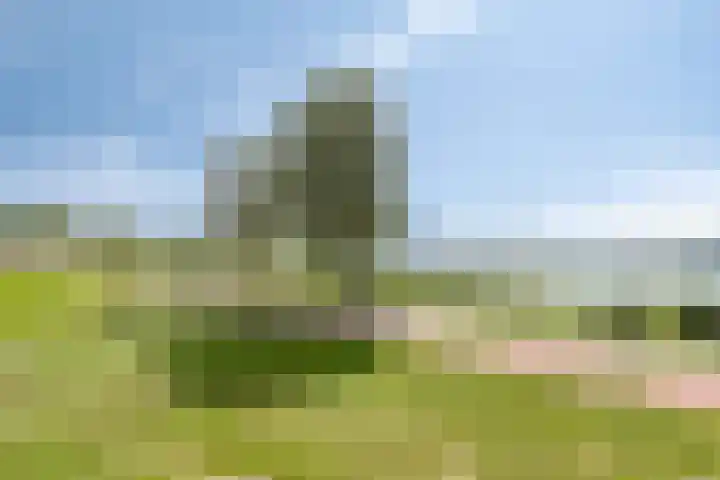Fellinilaan 436 Almere thumbnail 22