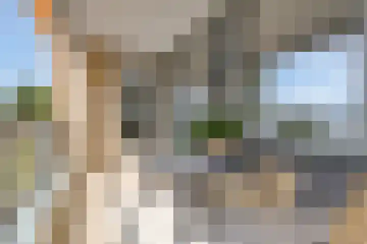 Fellinilaan 436 Almere thumbnail 23