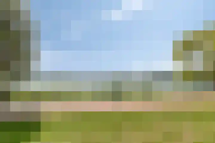 Fellinilaan 436 Almere thumbnail 24