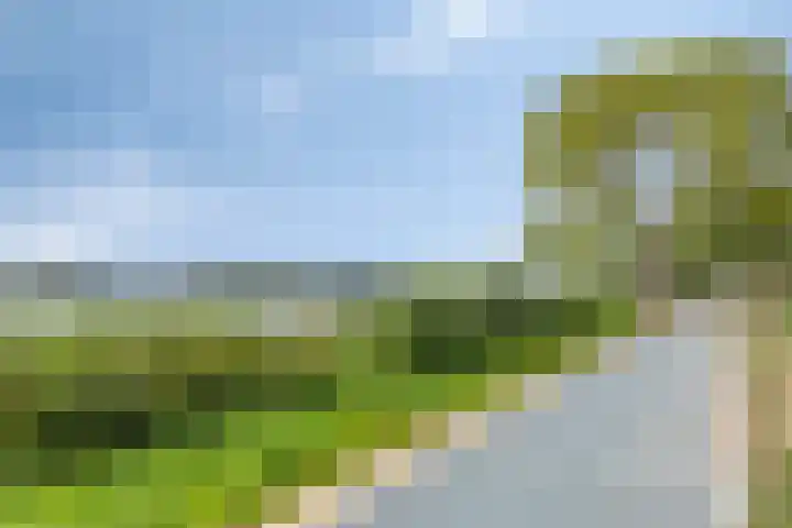 Fellinilaan 436 Almere thumbnail 32