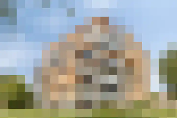 Fellinilaan 436 Almere thumbnail 38