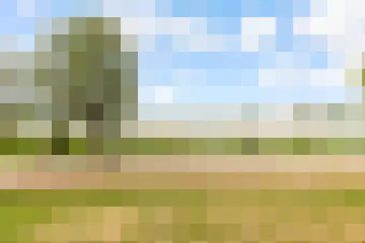 Fellinilaan 438 Almere thumbnail 16