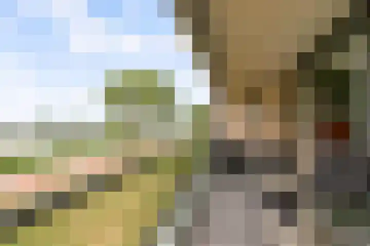 Fellinilaan 438 Almere thumbnail 17