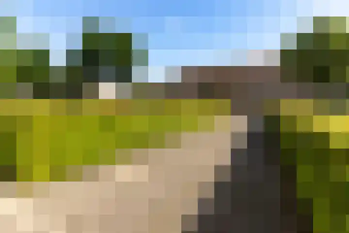 Fellinilaan 438 Almere thumbnail 34