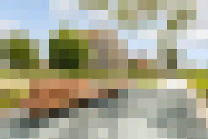Fellinilaan 438 Almere thumbnail 39