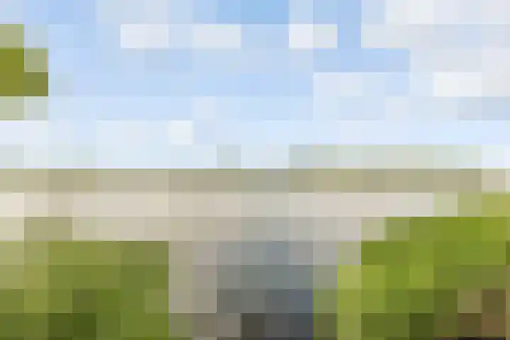 Fellinilaan 438 Almere thumbnail 40