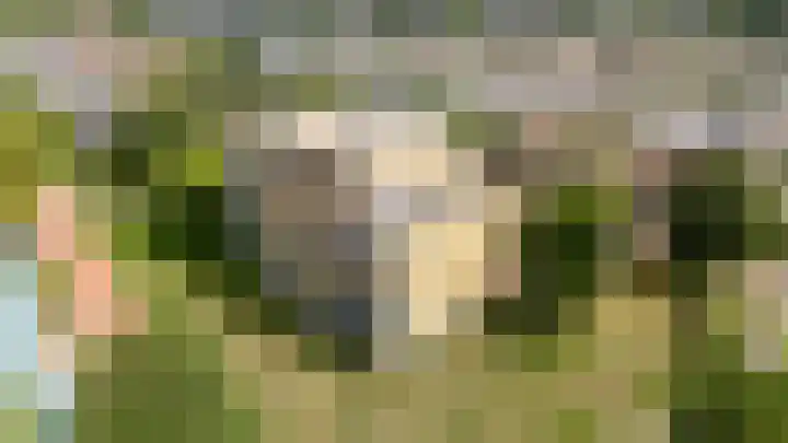 Fellinilaan 438 Almere thumbnail 41