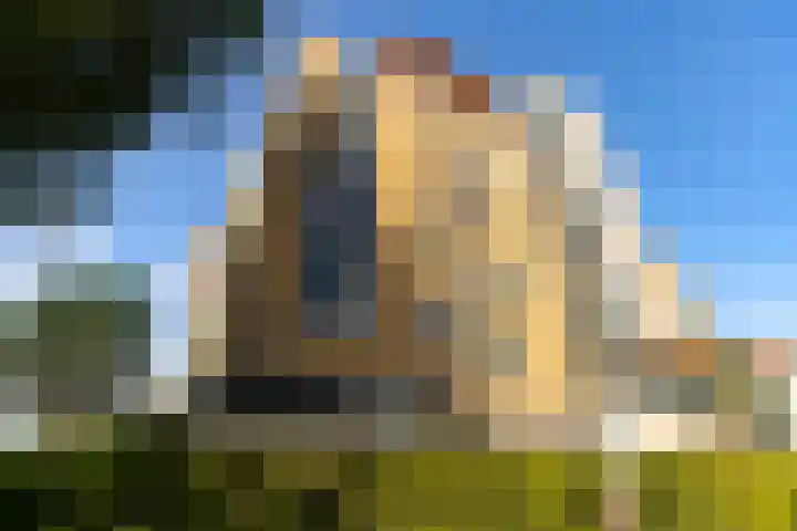 Fellinilaan 438 Almere thumbnail 5