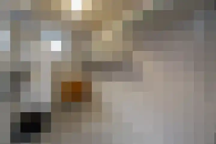 Fellinilaan 440 Almere thumbnail 26