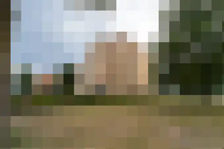 Fellinilaan 440 Almere thumbnail 5