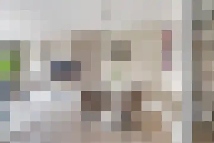 Fellinilaan 442 Almere thumbnail 11