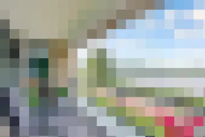 Fellinilaan 442 Almere thumbnail 30