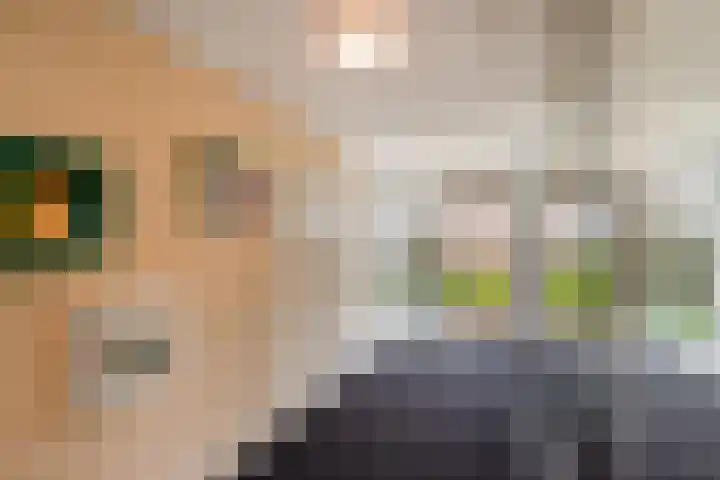 Fellinilaan 442 Almere thumbnail 34