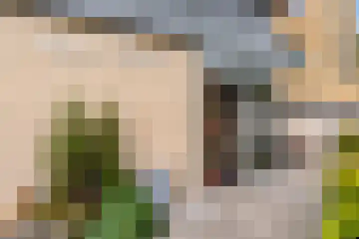 Fellinilaan 442 Almere thumbnail 35