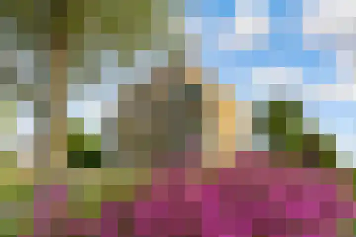 Fellinilaan 442 Almere thumbnail 41