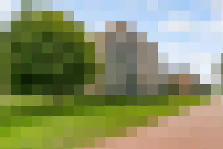 Fellinilaan 442 Almere thumbnail 42