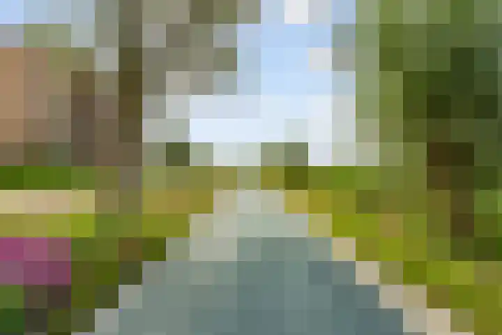 Fellinilaan 442 Almere thumbnail 44