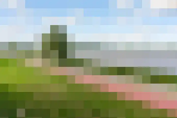 Fellinilaan 442 Almere thumbnail 45