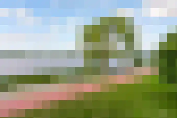 Fellinilaan 442 Almere thumbnail 46