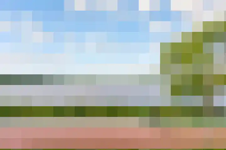 Fellinilaan 442 Almere thumbnail 47