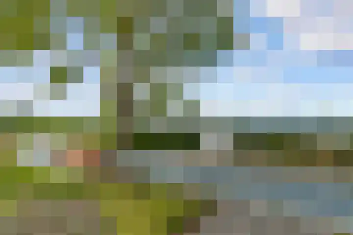Fellinilaan 442 Almere thumbnail 48