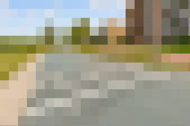 Fellinilaan 442 Almere thumbnail 49
