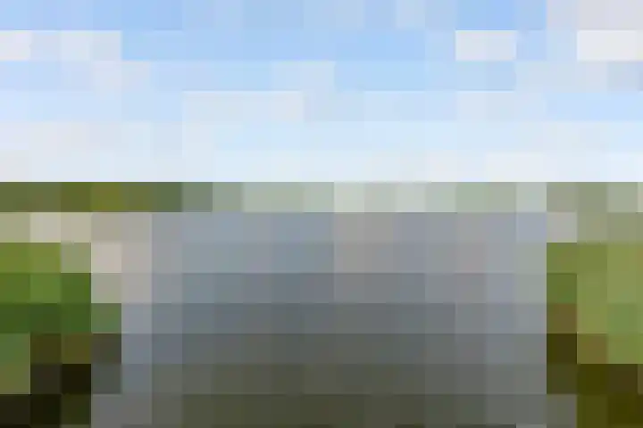 Fellinilaan 442 Almere thumbnail 50