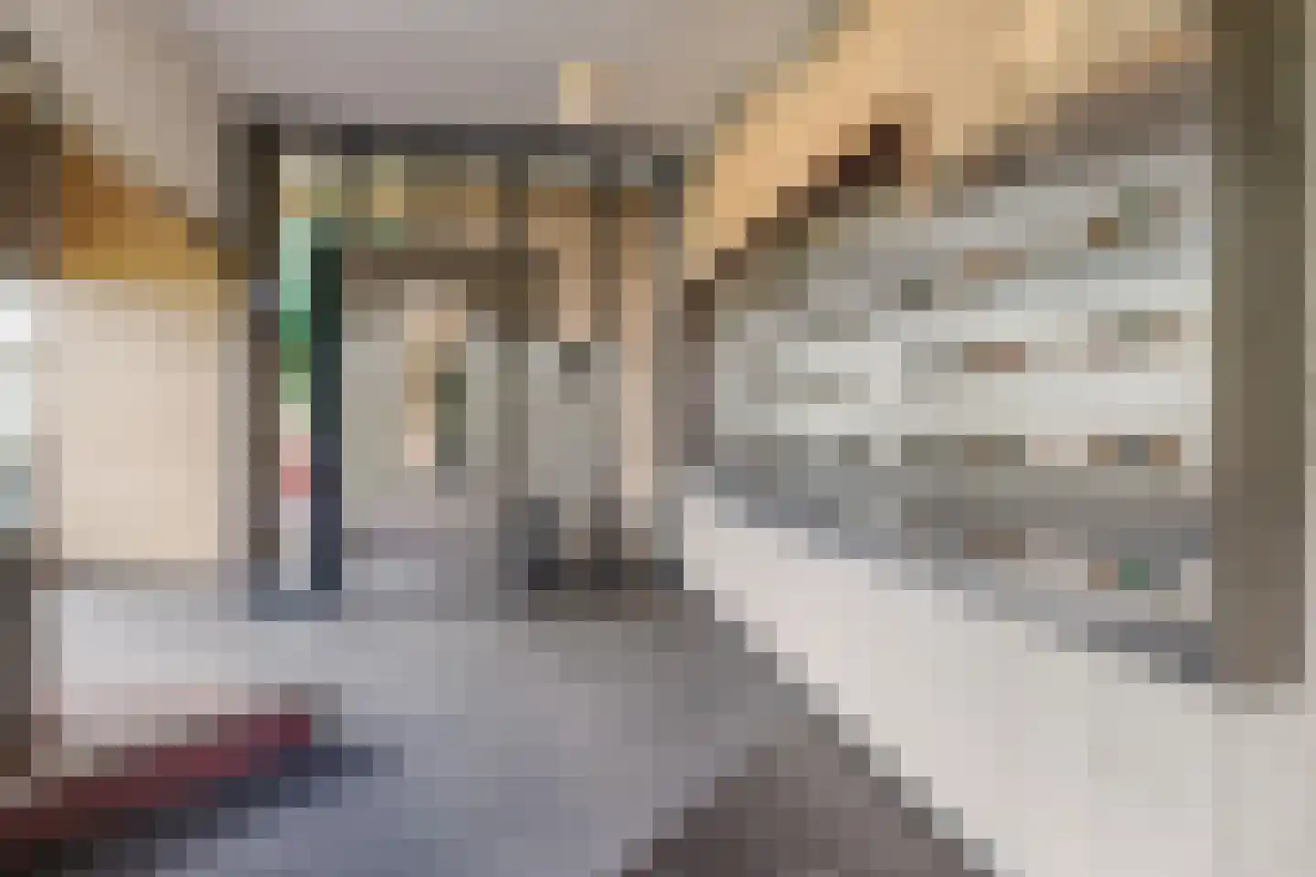 Fellinilaan 58 Almere thumbnail 33