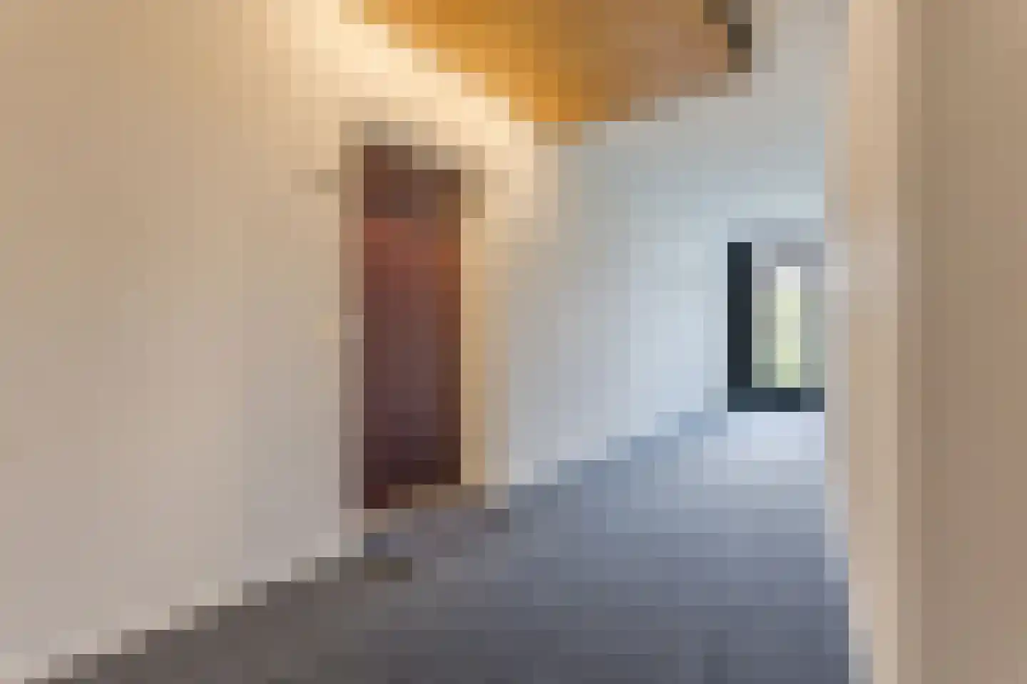 Fellinilaan 58 Almere thumbnail 35