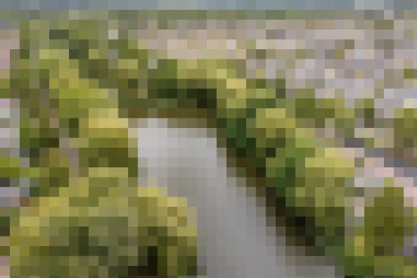 Fellinilaan 58 Almere thumbnail 47