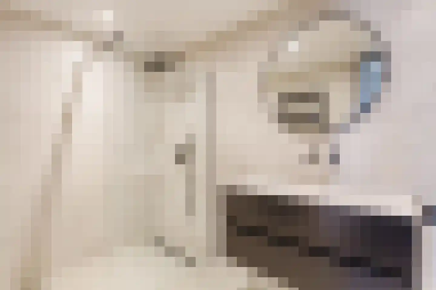 Fellinilaan 69 Almere thumbnail 12