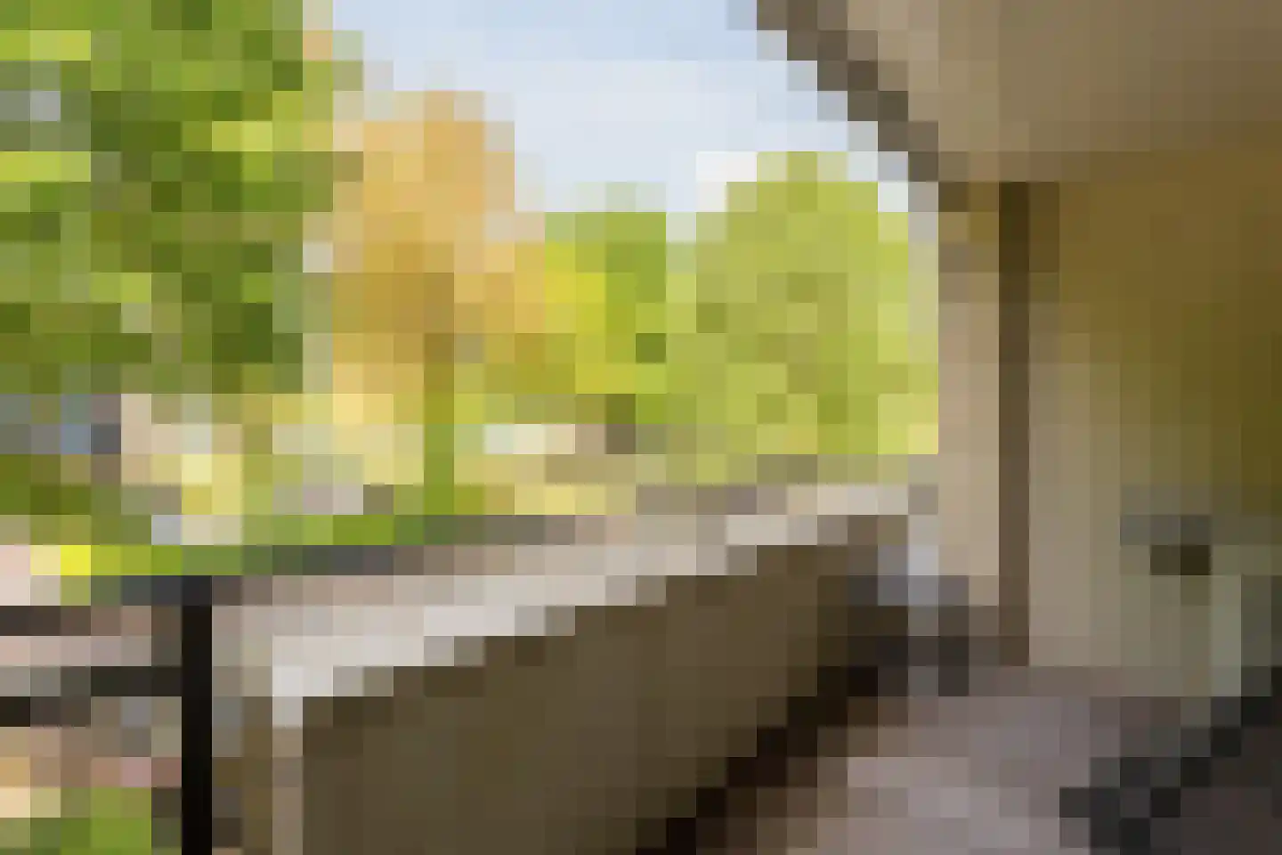 Fellinilaan 69 Almere thumbnail 16
